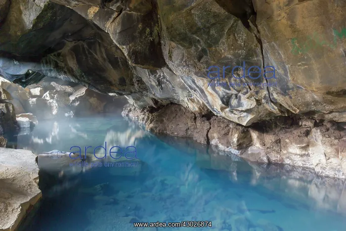 : Cave Grjotagja with a hot spring Myvatn Iceland : Cave Grjotagja with a hot spring Myvatn Iceland