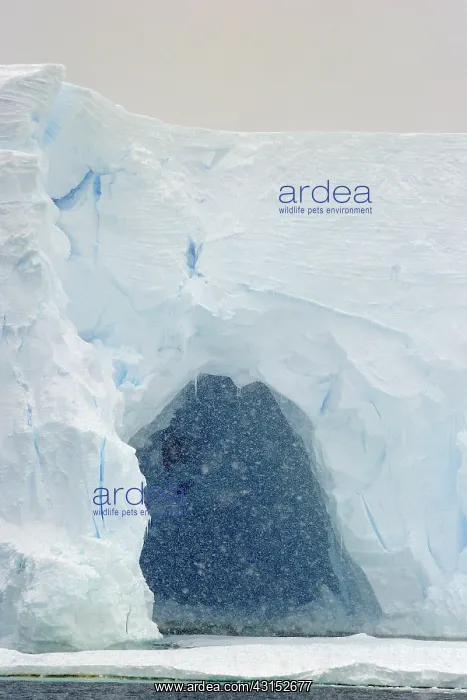 : Cave in Iceberg with heavy snowfall : Cave in Iceberg with heavy snowfall