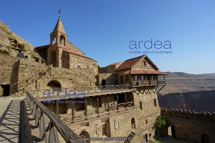 : Cave monastery and monastery complex Dawit Garedscha : Cave monastery and monastery complex Dawit Garedscha