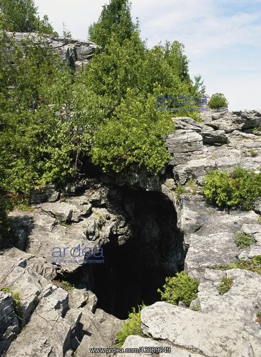 : Cave in Ontario : Cave in Ontario
