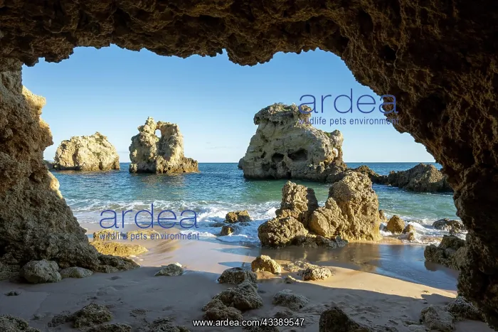 : Cave at Praia dos Arrifes, rocks and sea in the : Cave at Praia dos Arrifes, rocks and sea in the