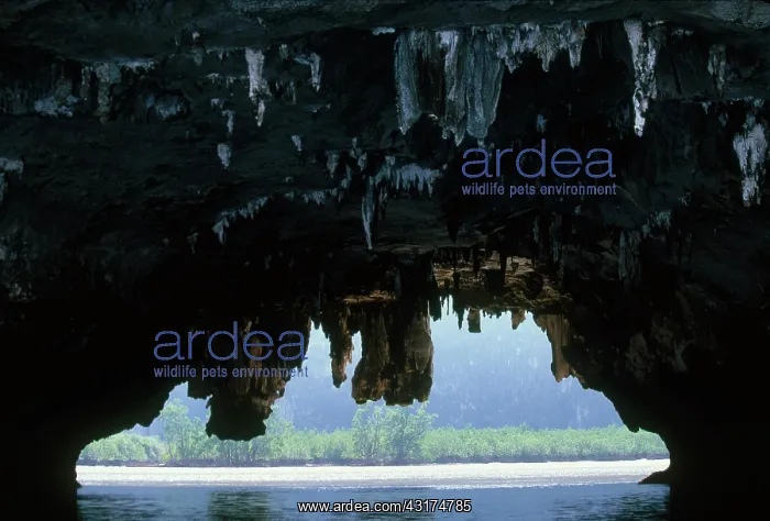 : Cave in Thailand : Cave in Thailand