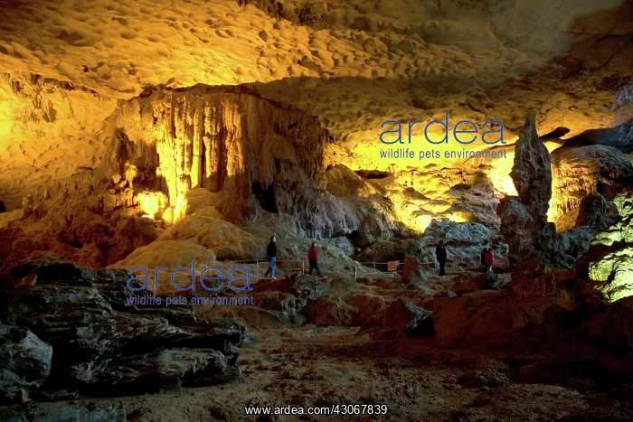 : Caves, Vietnam : Caves, Vietnam