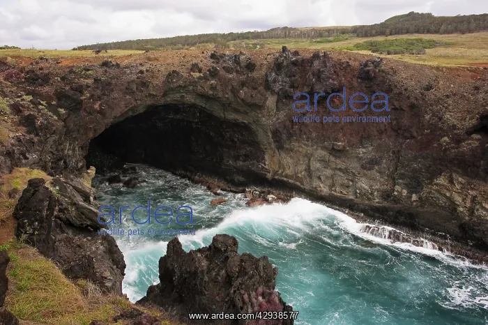: Caves of volcanic origin.at Punta Baquedano. Easter : Caves of volcanic origin.at Punta Baquedano. Easter