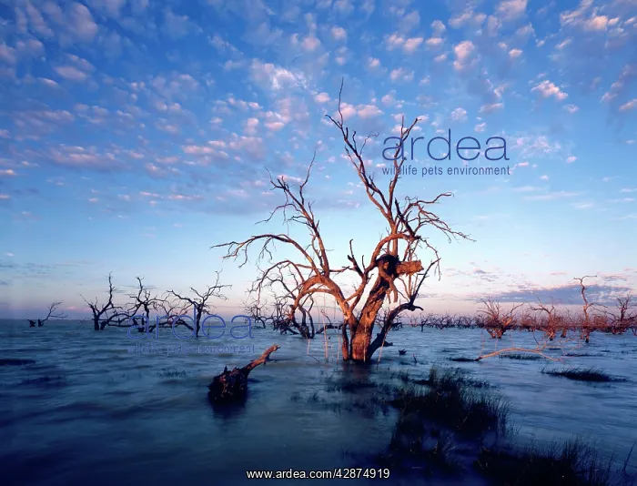 : Cawndilla Lakes near Menindee : Cawndilla Lakes near Menindee