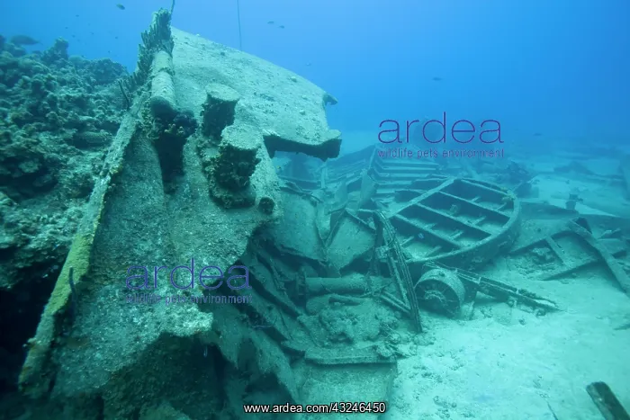 : Cayman Islands, Grand Cayman Island, Wreck : Cayman Islands, Grand Cayman Island, Wreck