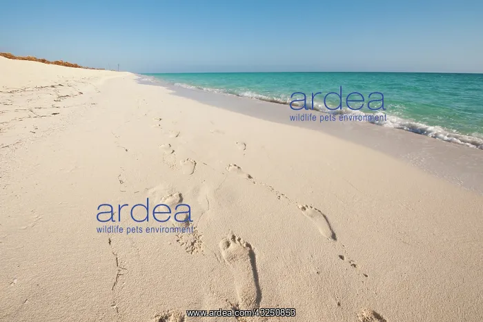  : Cayo Santa Maria, Cuba. Beach at Sol Cayo