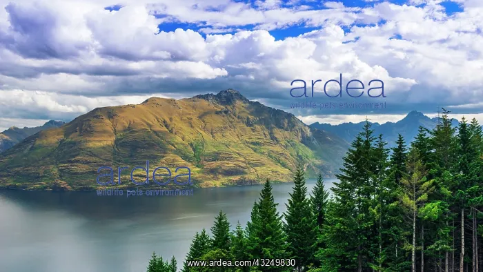 : Cecil Peak above Lake Wakatipu, Queenstown, Otago : Cecil Peak above Lake Wakatipu, Queenstown, Otago