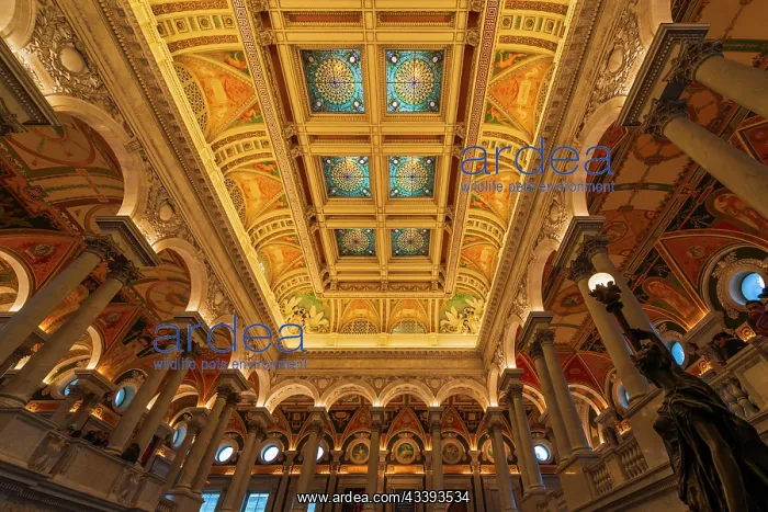: The ceiling of the Library of Congress, Washington : The ceiling of the Library of Congress, Washington