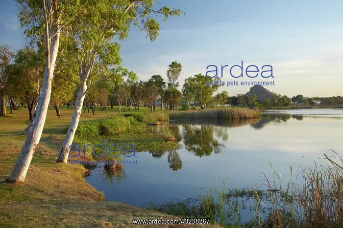 : Celebrity Tree Park, and Lily Creek Lagoon : Celebrity Tree Park, and Lily Creek Lagoon