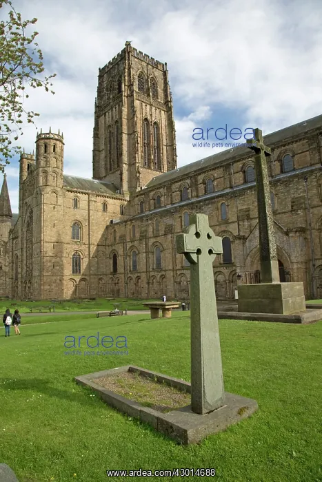 : Celtic Cross : Celtic Cross