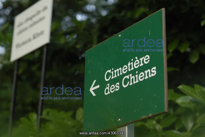  : Cemetery dogs chateau of Chaumont sur Loire France