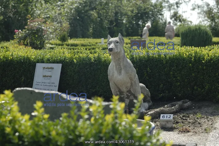 : Cemetery for pets Ile-de-France : Cemetery for pets Ile-de-France