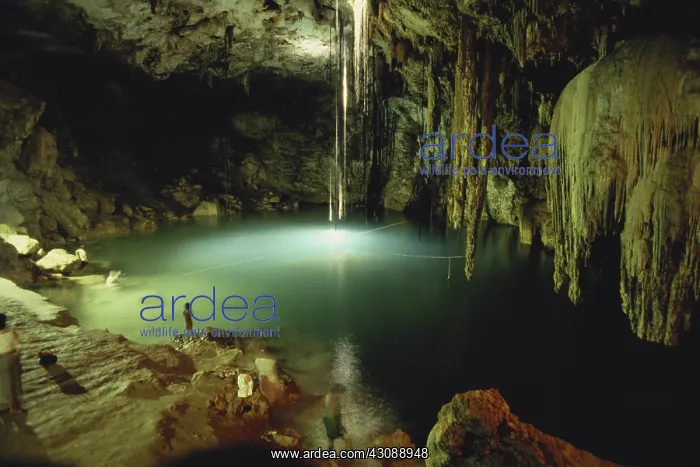 : Cenote of Dzitnup : Cenote of Dzitnup
