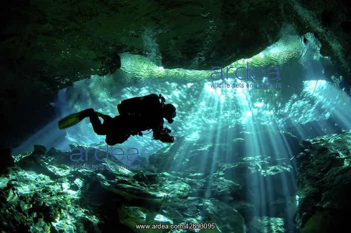 : Cenote Silhouette of diver - DOS - OJOS : Cenote Silhouette of diver - DOS - OJOS