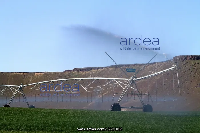 : Center-Pivot Irrigation : Center-Pivot Irrigation