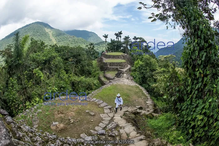 : Central area of the Lost City (Ciudad Perdida) with : Central area of the Lost City (Ciudad Perdida) with