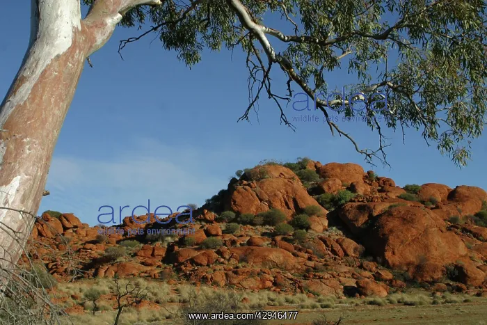 : Central Australia - Granite formations, The Red Centre : Central Australia - Granite formations, The Red Centre