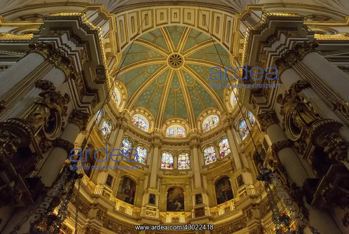 : Central Dome - Cathedral : Central Dome - Cathedral