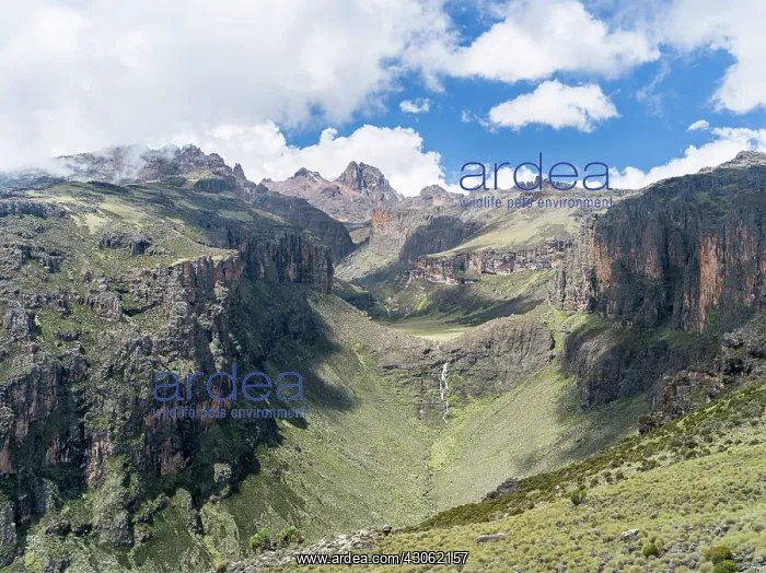 : Central Mount Kenya National Park (a UNESCO : Central Mount Kenya National Park (a UNESCO