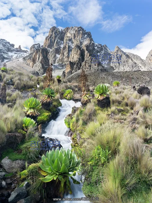 : Central Mount Kenya National Park (a UNESCO : Central Mount Kenya National Park (a UNESCO