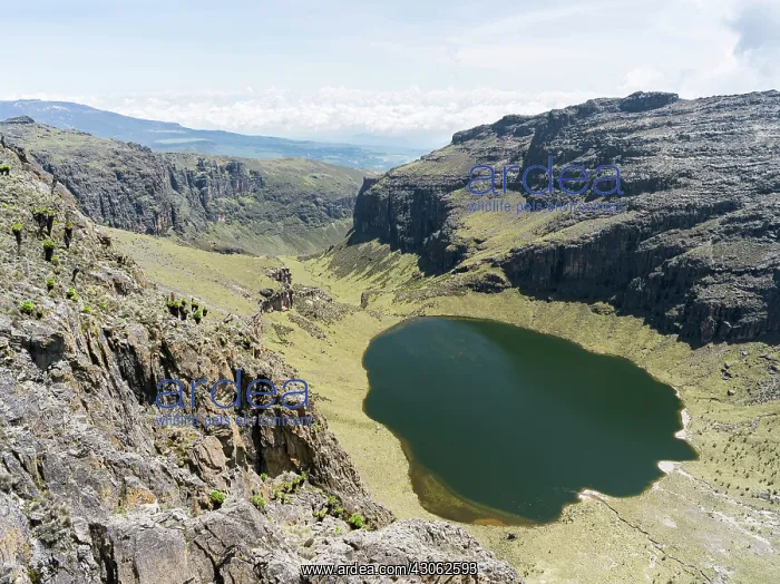 : Central Mount Kenya National Park (a UNESCO : Central Mount Kenya National Park (a UNESCO