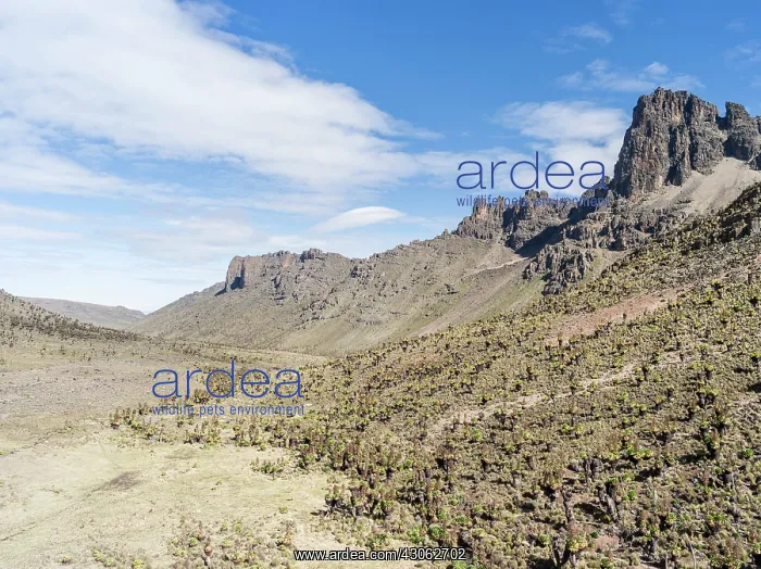 : Central Mount Kenya National Park (a UNESCO : Central Mount Kenya National Park (a UNESCO