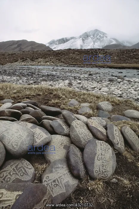 : Central Tibet, Prayer stones (Large format : Central Tibet, Prayer stones (Large format