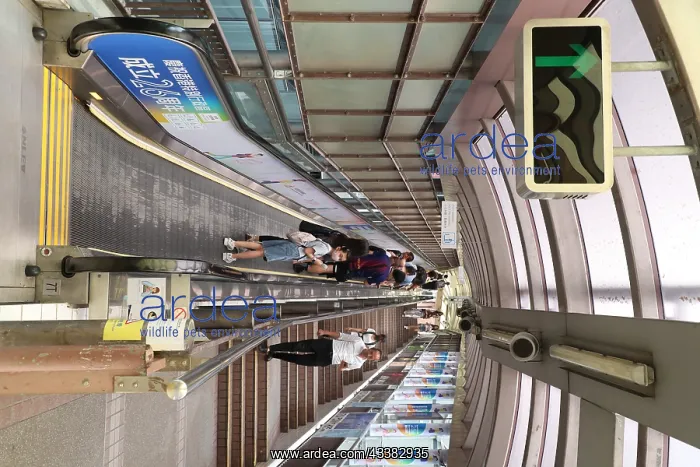 : Central'Mid-Levels escalator and walkway system, Hong Kong : Central'Mid-Levels escalator and walkway system, Hong Kong