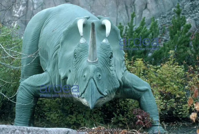 : Centrosaurus : Centrosaurus