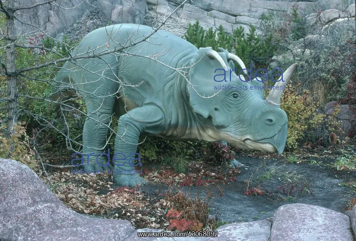 : Centrosaurus : Centrosaurus