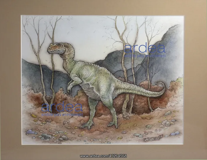  : Ceratosaurus. Jurassic