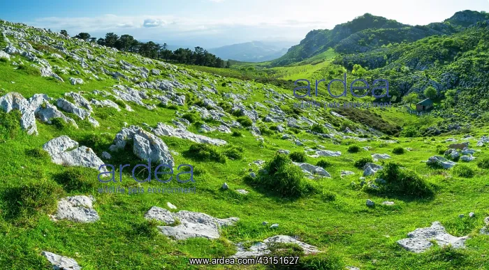 : Cerredo Mountain, Castro Urdiales, Cantabria, Spain : Cerredo Mountain, Castro Urdiales, Cantabria, Spain