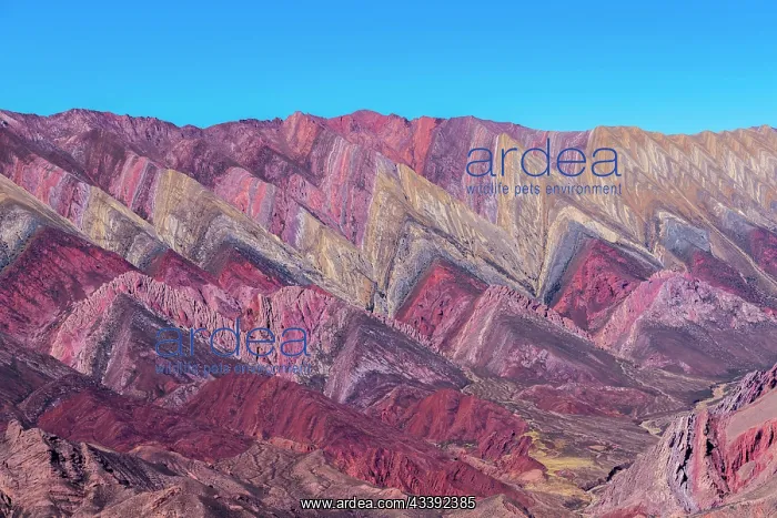 : Cerro de 14 colores, Mountains of 14 Colours, An : Cerro de 14 colores, Mountains of 14 Colours, An