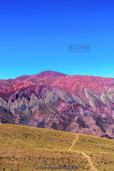 : Cerro de 14 colores, Mountains of 14 Colours, An : Cerro de 14 colores, Mountains of 14 Colours, An
