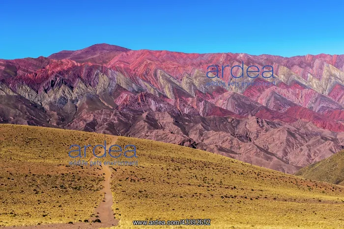 : Cerro de 14 colores, Mountains of 14 Colours, An : Cerro de 14 colores, Mountains of 14 Colours, An
