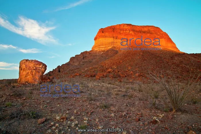 : Cerro Castellon mountain at sunset : Cerro Castellon mountain at sunset