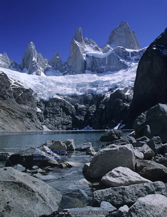 : Cerro Fitzroy from Laguna Sucia, Los Glaciares : Cerro Fitzroy from Laguna Sucia, Los Glaciares