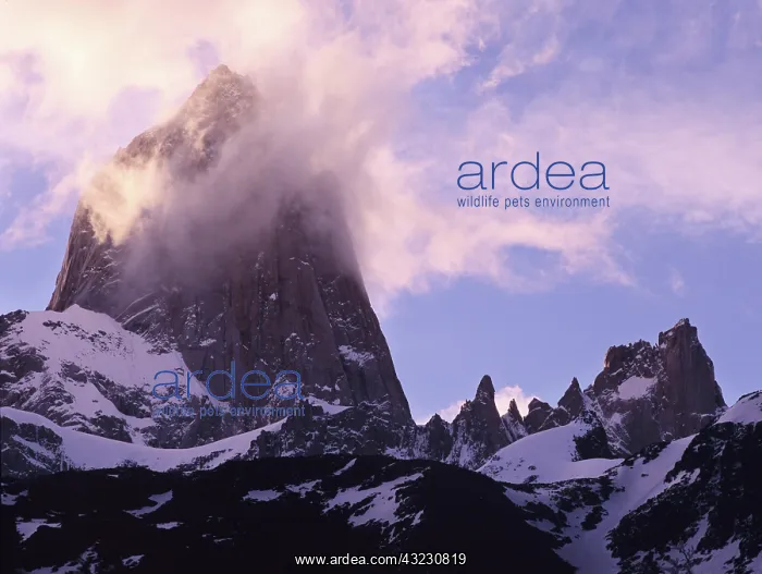 : Cerro Fitzroy and back lit clouds, Los Glaciares : Cerro Fitzroy and back lit clouds, Los Glaciares