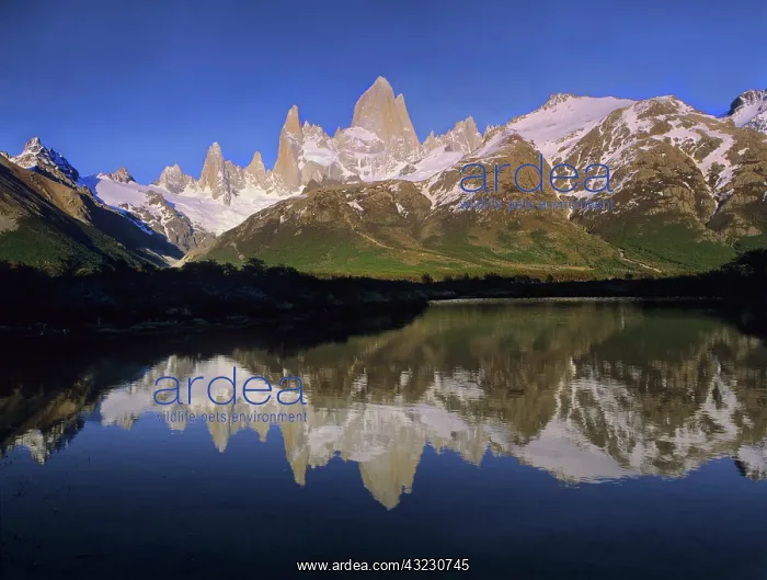 : Cerro Fitzroy at sunrise with reflection : Cerro Fitzroy at sunrise with reflection