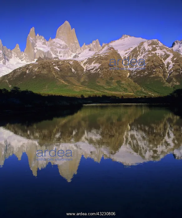: Cerro Fitzroy at sunrise with reflection : Cerro Fitzroy at sunrise with reflection