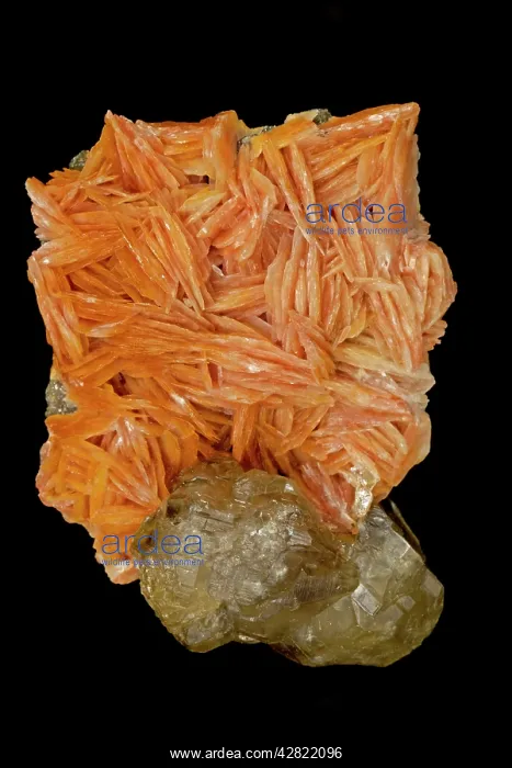 : Cerrusite and Barite (orange) : Cerrusite and Barite (orange)