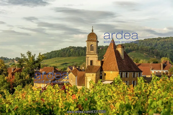 : Ch&, x2d25;au Bontemps, Arbois, Jura departement : Ch&, x2d25;au Bontemps, Arbois, Jura departement