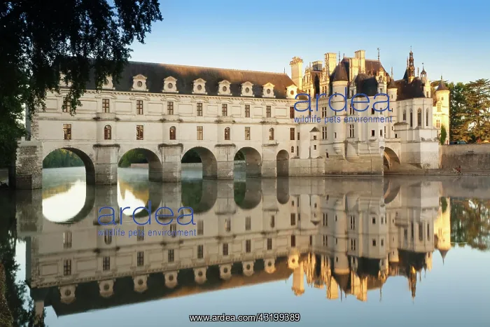 : Ch&, xe2;teau de Chenonceau castle on the Cher, Department : Ch&, xe2;teau de Chenonceau castle on the Cher, Department