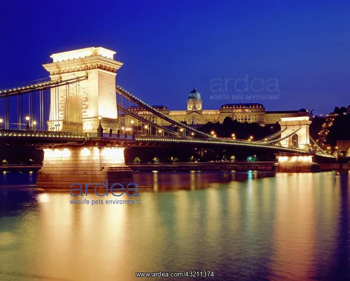 : Chain Bridge across the Danube river, Budapest : Chain Bridge across the Danube river, Budapest