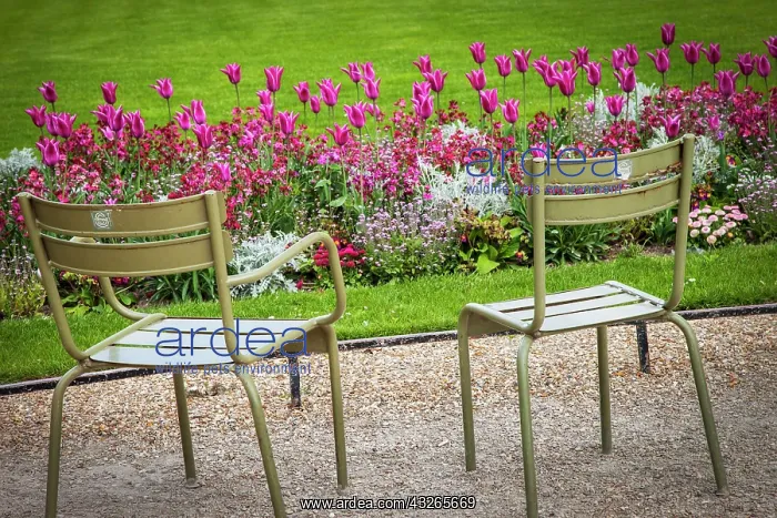 : Two chairs in Jardin du Luxembourg, Paris : Two chairs in Jardin du Luxembourg, Paris