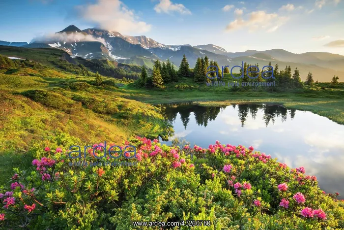 : Chalberboden, view of Schwarzhorn, Bern, Bernese : Chalberboden, view of Schwarzhorn, Bern, Bernese