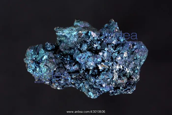 : Chalcocite : Chalcocite