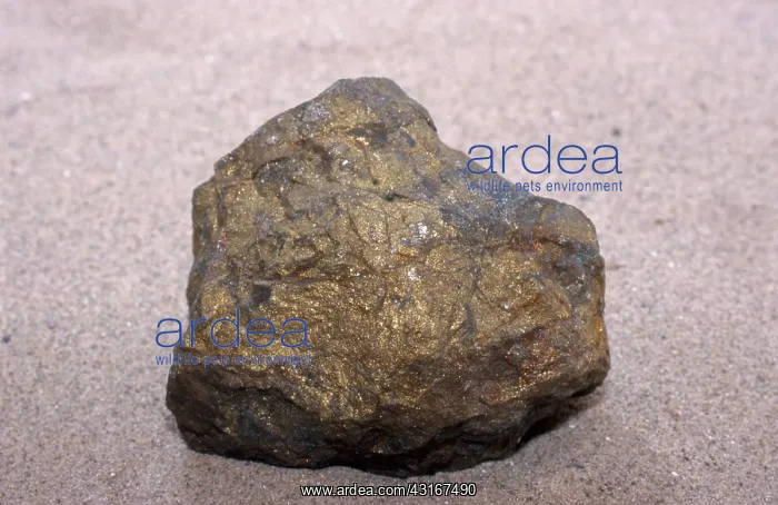 : Chalcopyrite : Chalcopyrite