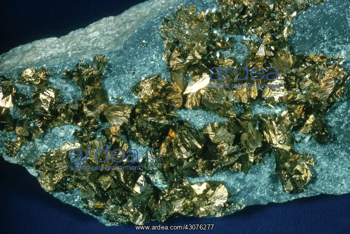 : Chalcopyrite Crystals : Chalcopyrite Crystals